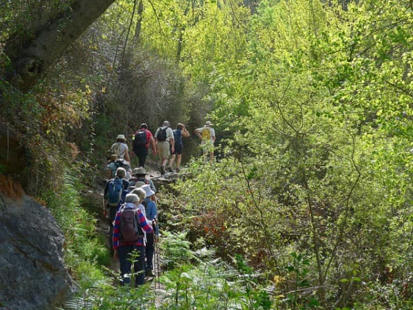 chris-stewart-walking-weeks-min